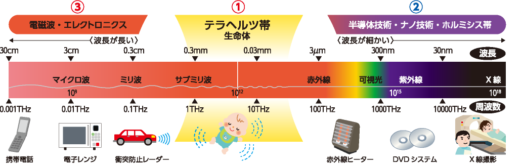 テラヘルツ波