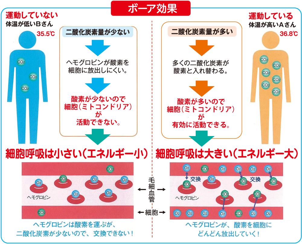 ボーア効果